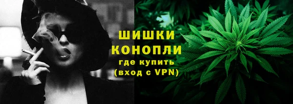 ГАЛЛЮЦИНОГЕННЫЕ ГРИБЫ Беломорск