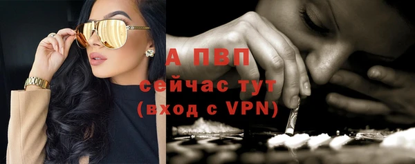 a pvp Белокуриха