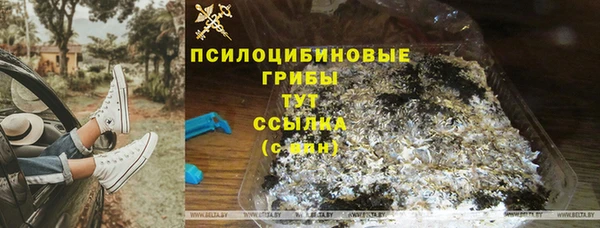 ГАЛЛЮЦИНОГЕННЫЕ ГРИБЫ Беломорск