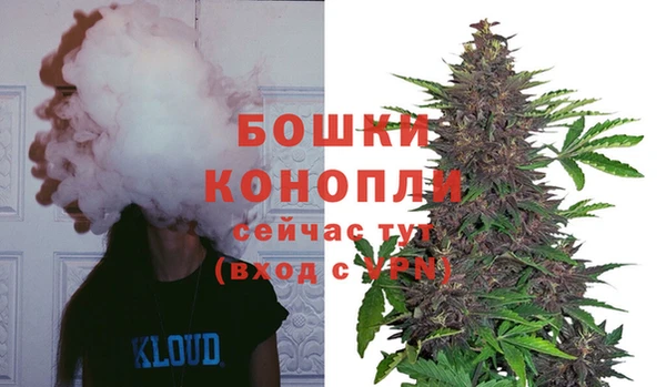 твердый Белоозёрский