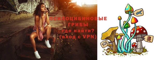 ГАЛЛЮЦИНОГЕННЫЕ ГРИБЫ Беломорск